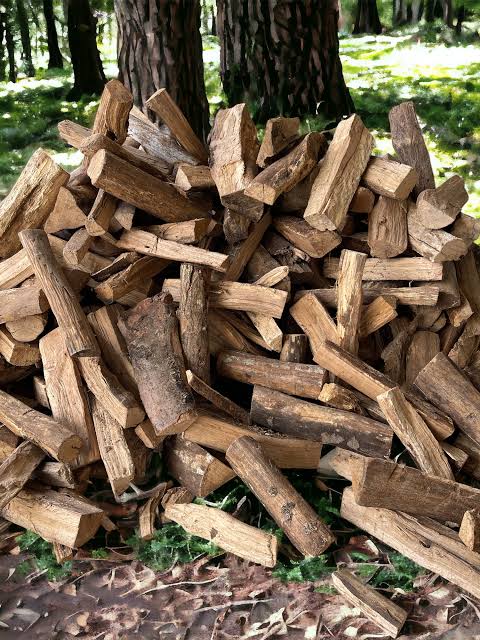 Laubholz