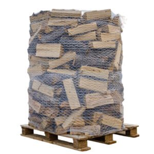 Buche Trocken 50 cm